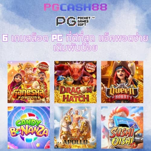 pgzeed24